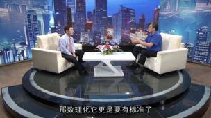 吴伟老师接受CCTV著名主持人水均益专访